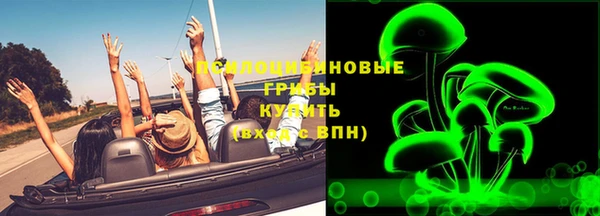 дживик Каменск-Шахтинский