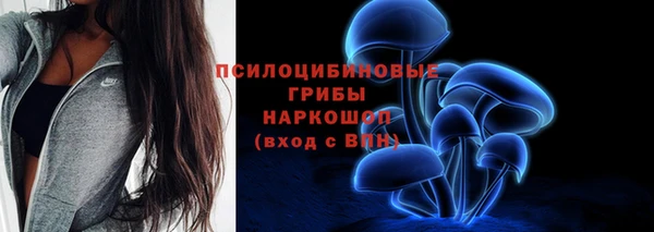 дживик Каменск-Шахтинский