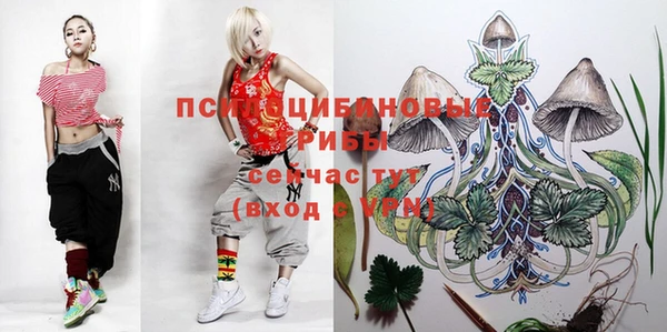 кокаин перу Каменногорск