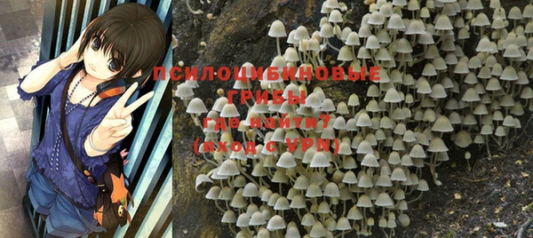 MDMA Premium VHQ Каменка