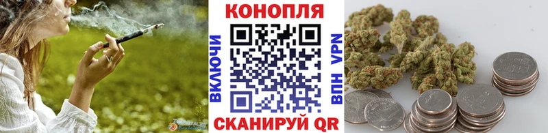 Купить закладки  Гдов  Каннабис тримм 